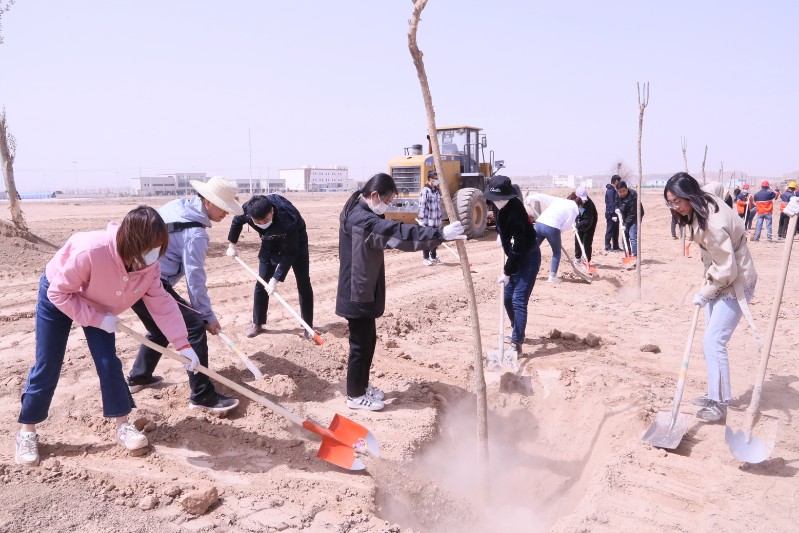 k8·凯发天生赢家·一触即发(中国区)官方网站