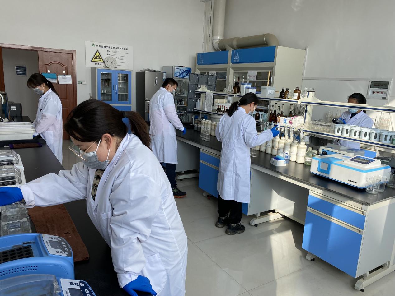 k8����������Ӯ�ҡ�һ������(�й���)�ٷ���վ